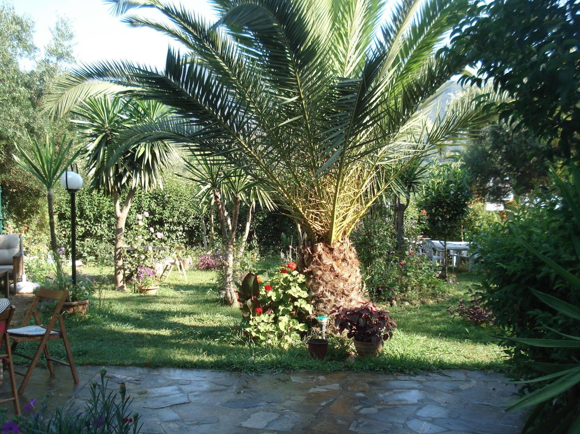 Villa Avra Dassia  Exteriör bild