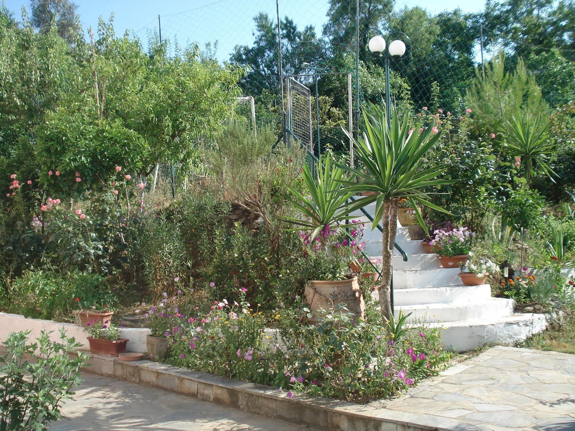 Villa Avra Dassia  Exteriör bild